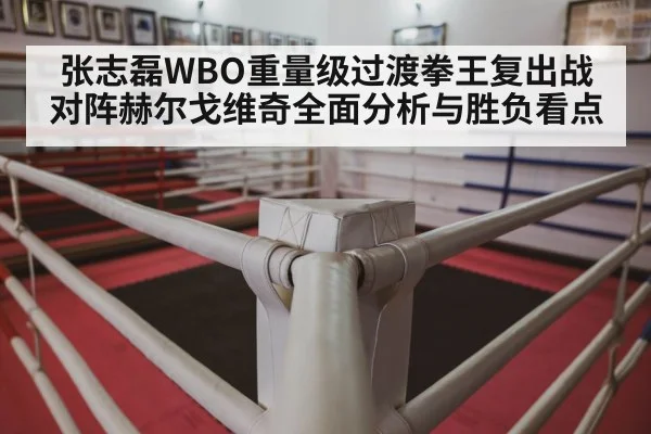 张志磊WBO重量级过渡拳王复出战对阵赫尔戈维奇全面分析与胜负看点